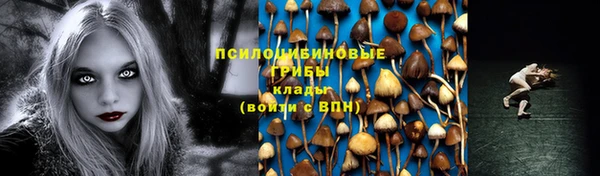 мескалин Каменка