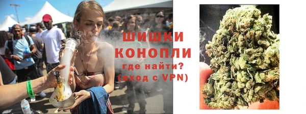сатива Карпинск