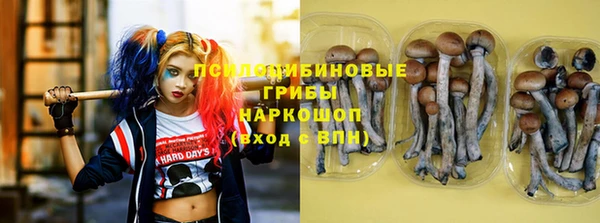 трава Касимов