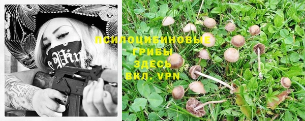 синтетический гашиш Каменногорск