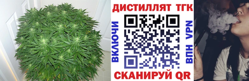 Дистиллят ТГК THC oil  Купить закладки  Дмитровск 
